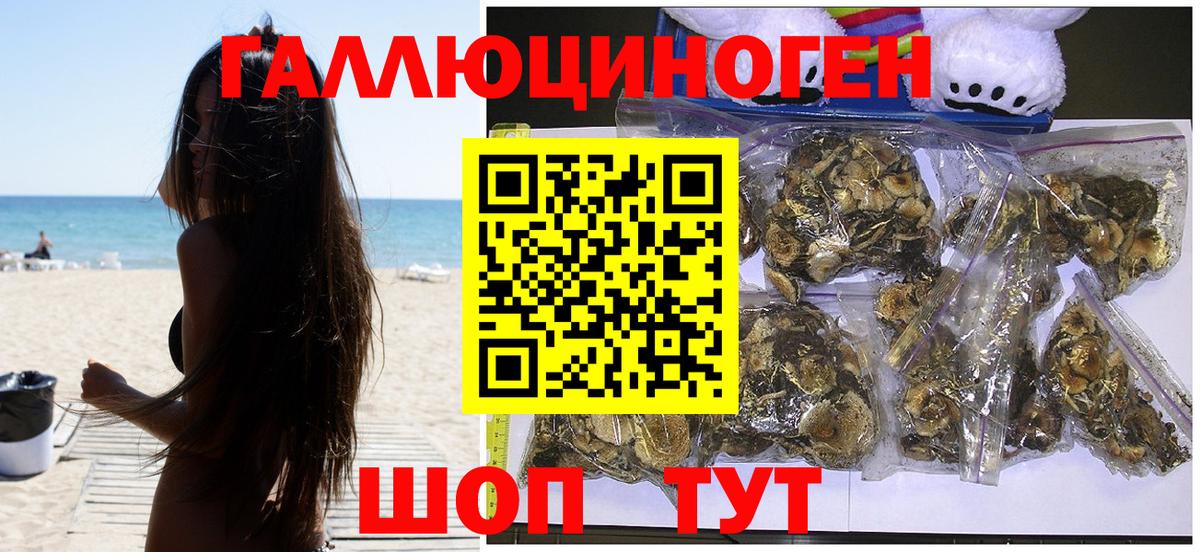 Псилоцибиновые грибы Psilocybine cubensis Россия