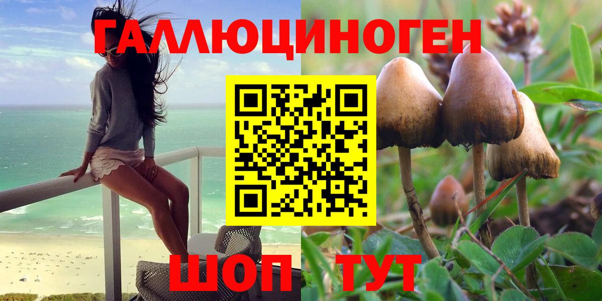 Галлюциногенные грибы Cubensis  Вход с VPN  Псилоцибиновые грибы Psilocybine cubensis  Россия 